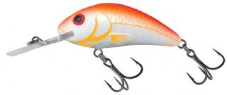 Salmo Rattlin Hornet Floating 3.5cm - 